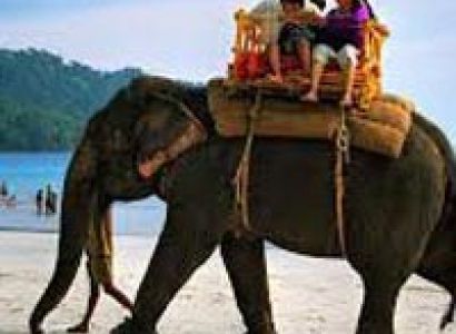 Discover Andaman's Tour