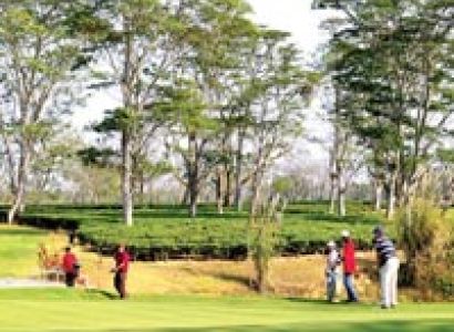 Tea & Golf Package