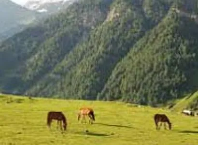 Kashmir Honeymoon Tour