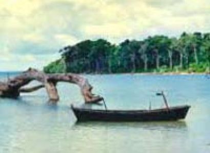 Ross Island Holiday Tour