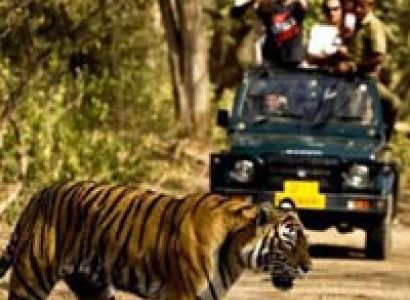 Nainital With Corbett Wildlife Safari