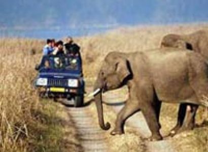 Mussoorie with Corbett Wildlife Safari