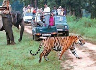 Corbett Wildlife Safari