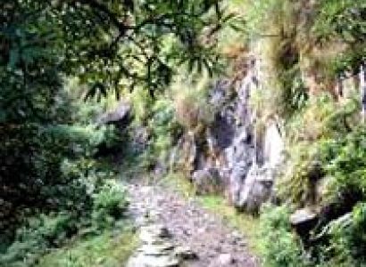 Trek To Triund Tour