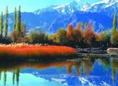 Kashmir Panorama Tour