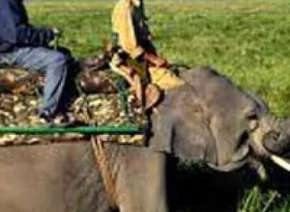 Kaziranga Wildlif Tour