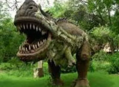 Gujarat Wildlif Tour