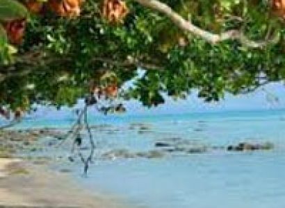 Splendours of Andaman Tour