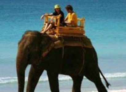 The Great Escape Tour