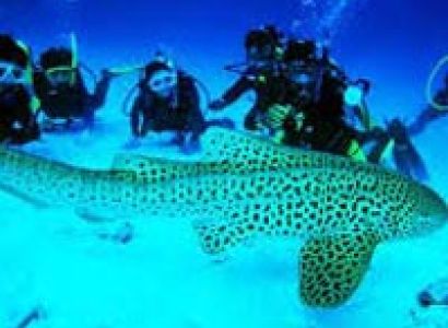 Paradise called Andaman's Tour