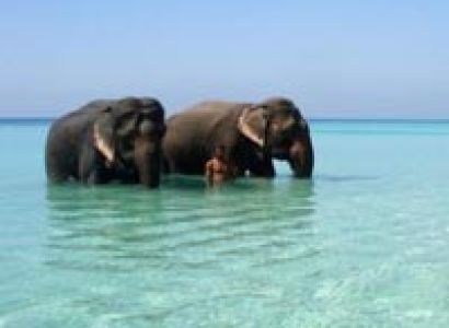 Andaman Island 6 Days Tour