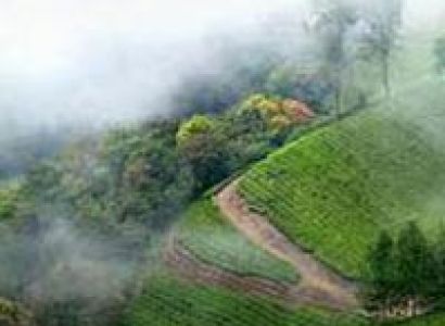 Kerala Honeymoon Tour