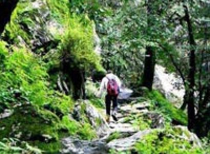 Tirthan Valley Trekking Tour