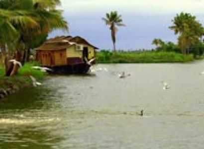 Cochin Heritage Tour