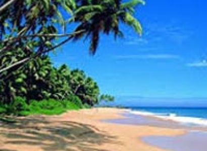 Delightful Sri Lanka Tour