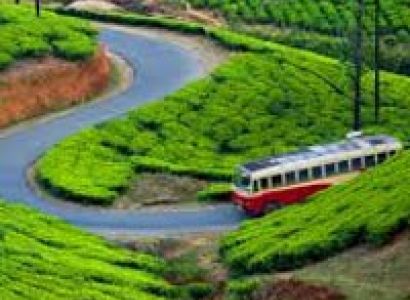 Munnar Tour Package