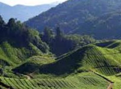Awesome Tour Package For Gangtok