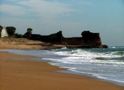 Wildlife & Beach Tour of Gujarat