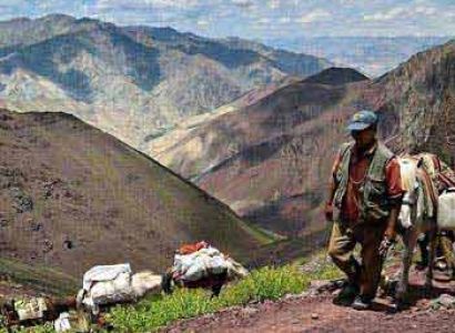 Spituk to Stok Trek Tour