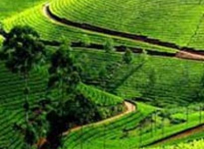 Mysore Ooty Tour