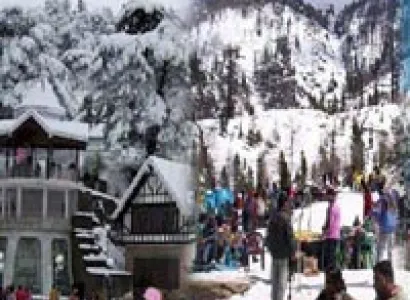 Shimla Package : Volvo