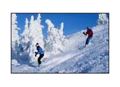 Manali Volvo Package 06 Days
