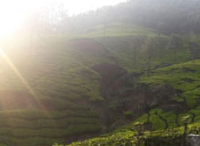 Blissful Kerala 4 Nights/ 5 Days package