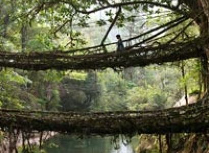 Shillong (2N), Guwahati (1N). Tour