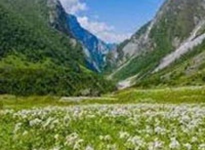 Arunachal Pradesh “Paradise of the Botanists” Tour