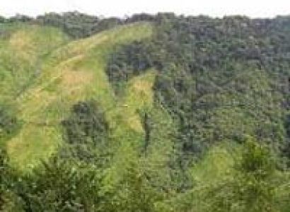 Kuari Pass Trek (Lord Curzon Trek) Tour