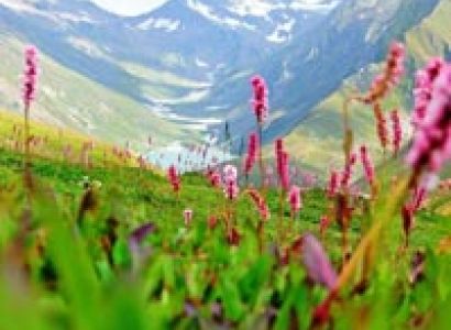 Valley of Flowers and Hemkund Sahib Tour