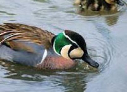 Bhekal Tal - Brahmatal Trek Tour