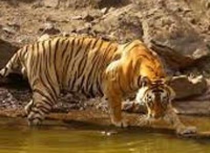 Archaeological Rajasthan Tour