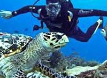 Andaman Honeymoon Package