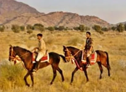 Marwari Horse Safari Tour