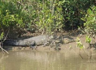 Bhitarkanika 2 Days Tour