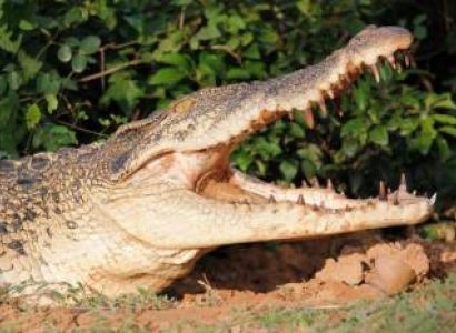 Odisha Tour Packages