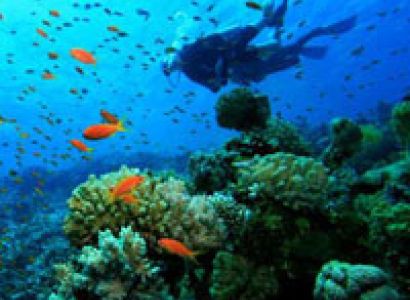 Explore Sri lanka Tour