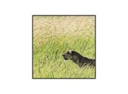 Mid range accommodation Tour