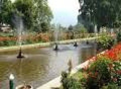 Winter in Kashmir Tour