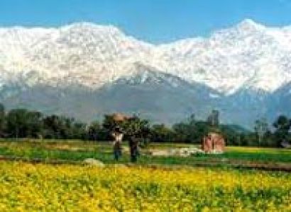 Himachal Tour Package
