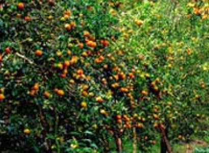 Destination North East (19 days and 18 nights) Tour