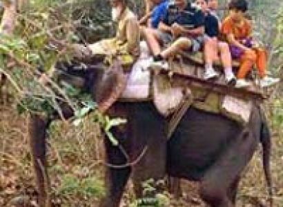3 Days Corbett & New Delhi Budget Holiday