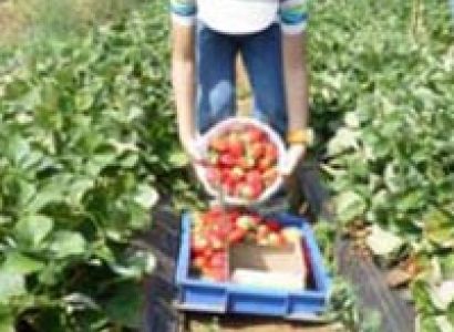 Lonavala & Mahabaleshwar Tour