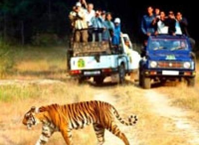 Rajasthan wildlife Tour