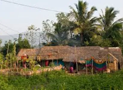 Bhitarkanika & Budhist Tour Package(03 Nights / 04 Days)