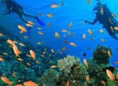 5 Nights 6 Days Andaman Special Family Tout Package