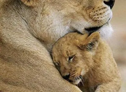 Short Escape to Gir Tour