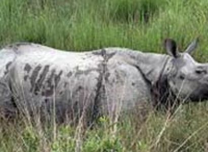 3 Days Jaldapara Adventure Tour