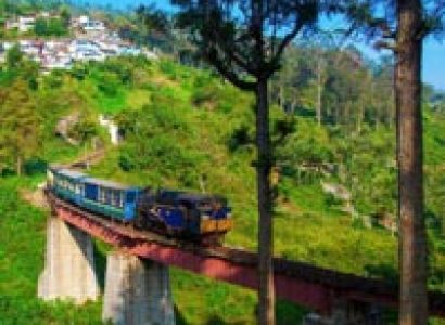 Mumbai Bangalore Bandipur Circuit Tour